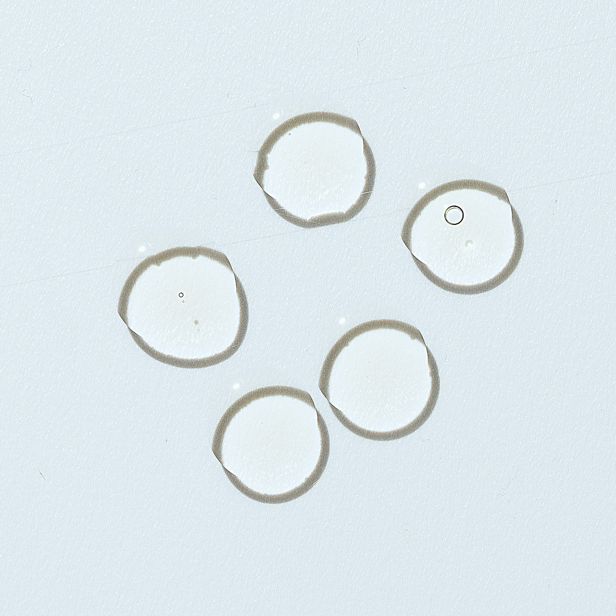 'Good Vibes' Brightening Facial Oil (with Vitamin C)